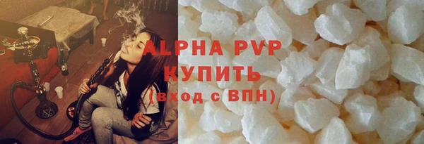 spice Богородицк