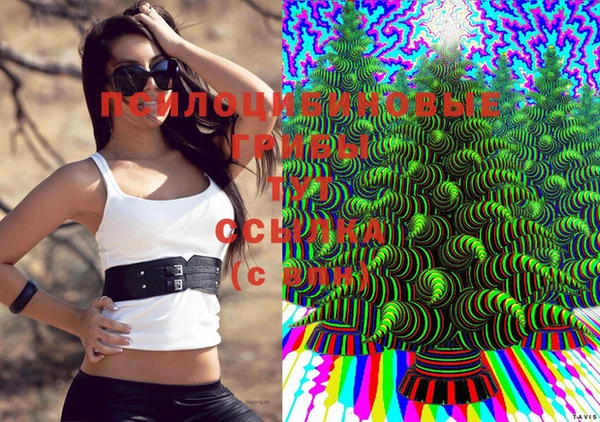 spice Богородицк