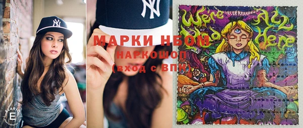 spice Богородицк