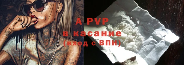 spice Богородицк