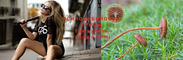 героин Богданович